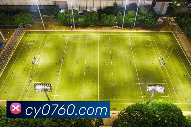 星空体育在线登录入口发展历程